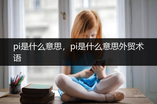 pi是什么意思，pi是什么意思外贸术语